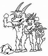 Billy The Goat Assembled Coloring Pages  Best Place To Color sketch template