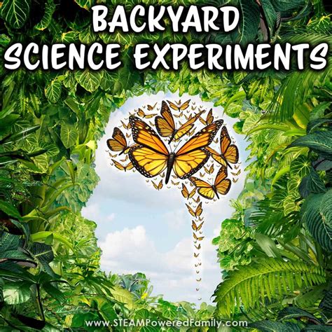 25+ Brilliant Backyard Science Experiments for Kids