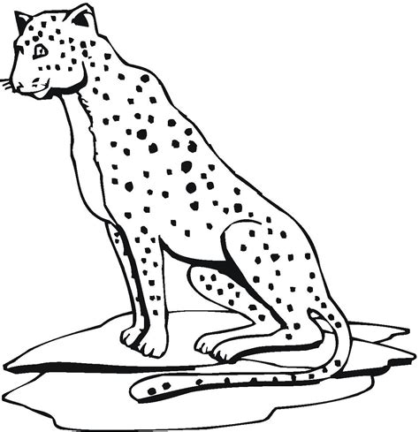 25+ Cheetah Coloring Pages For Kids Best - Ww2 Coloring Pages Soldiers