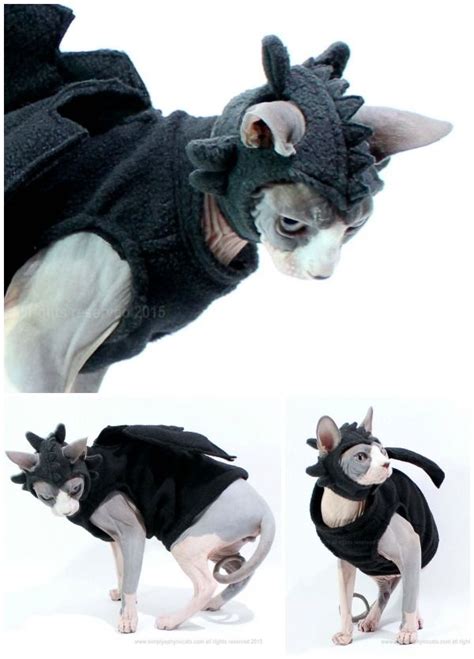 Bookish Pet Outfits for Literature-Loving Critters | Cat outfits pets, Cat outfit halloween, Cat ...