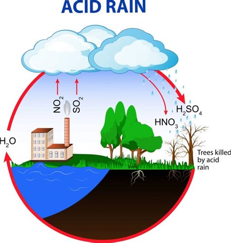 What is Acid Rain? - Internet Geography