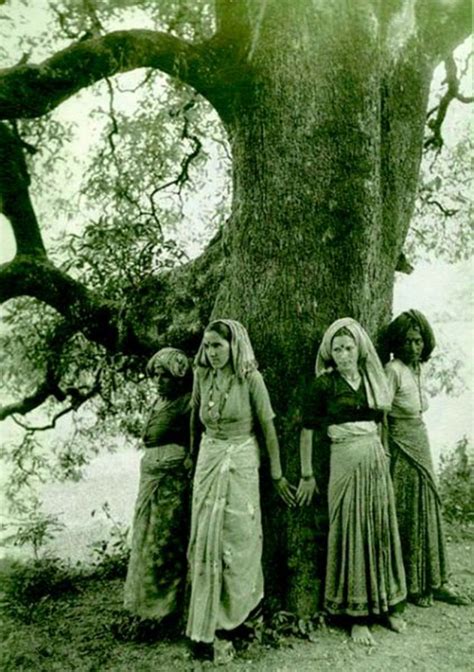 The Bohemian Budgie: Hindu Tree Huggers: The Chipko Movement