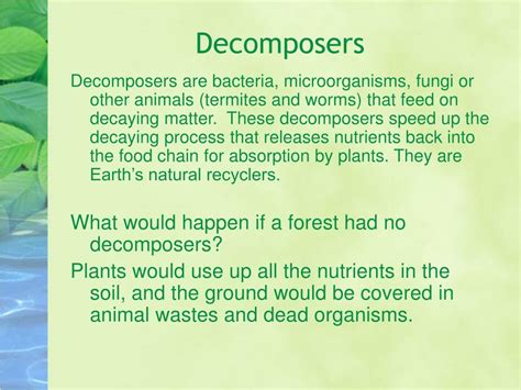 PPT - Ecosystems What effects do biotic and abiotic factors have on an ...