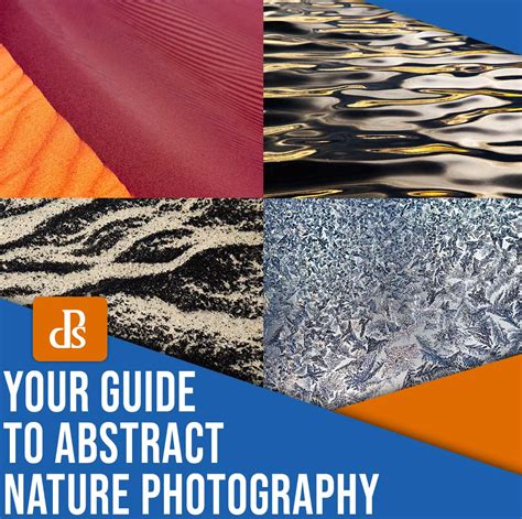 Abstract Nature Photography: A Guide (+ Tips and Ideas)