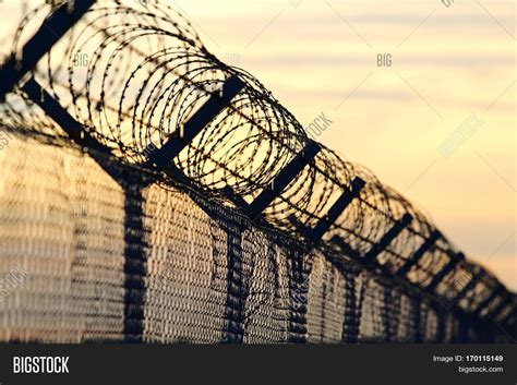 Barbed Wire Steel Wall Image & Photo (Free Trial) | Bigstock