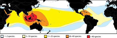 File:Species Diversity Biogeography.png - Wikimedia Commons