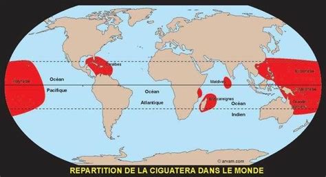 Répartition de la ciguatera à travers le globe (ARVAM). | Download ...