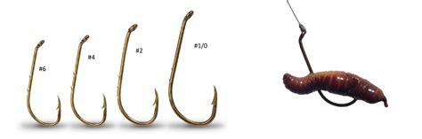 Fishing Hook Sizes - How to Choose the Right Fishing Hook