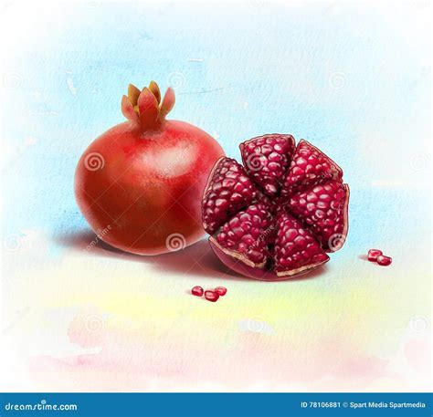 Pomegranate stock image. Image of hashanah, jewish, leaves - 78106881