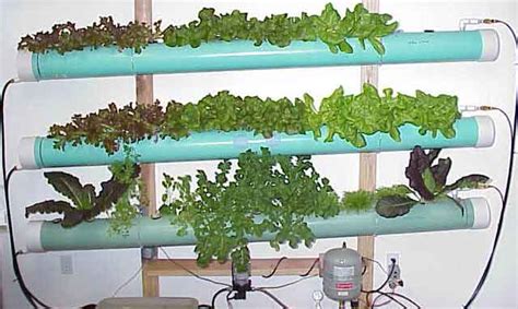 An Example Of Aeroponic gardening kits – Hydroponics Gardening ...