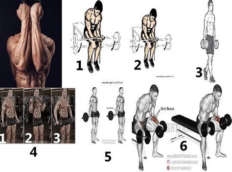 6 Killer Forearm Workouts For Men To Build Bigger And Stronger Forearms