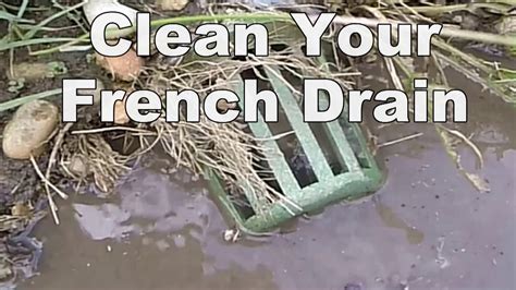 How To Clean French Drain - A Good Drain Cleaning Machine Makes the Difference - YouTube