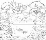 Duck Pond Coloring Page sketch template