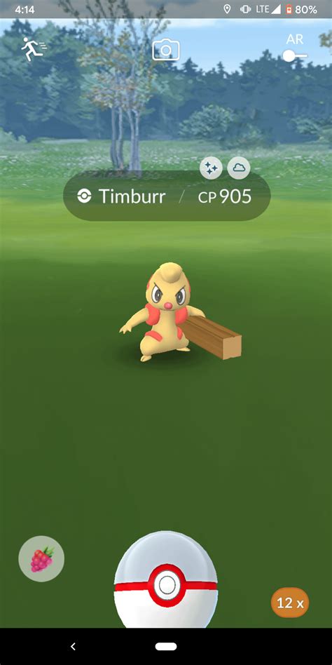 [Pogo] 3rd timburr raid and it shinied now it's going to take me a long ...