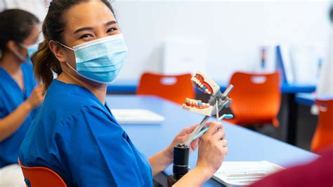 Dental Assistant Training Courses, Classes, & Programs Online, School ...