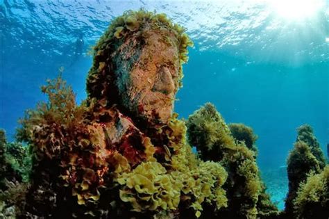 One Lucky Soul: Underwater Sculptures, Artificial Reefs