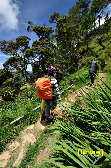 Lantaw - Philippines Outdoor and Travel Photos: mt pulag ambangeg trail ...