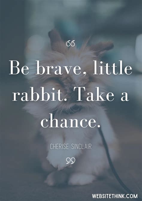 73+ Cute & Cuddly Quotes About Rabbits! 🥇[+ Images!]