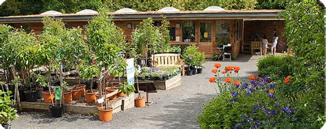 Woodside Garden |Plant Centre & Birdhouse Tearoom| Nr Jedburgh