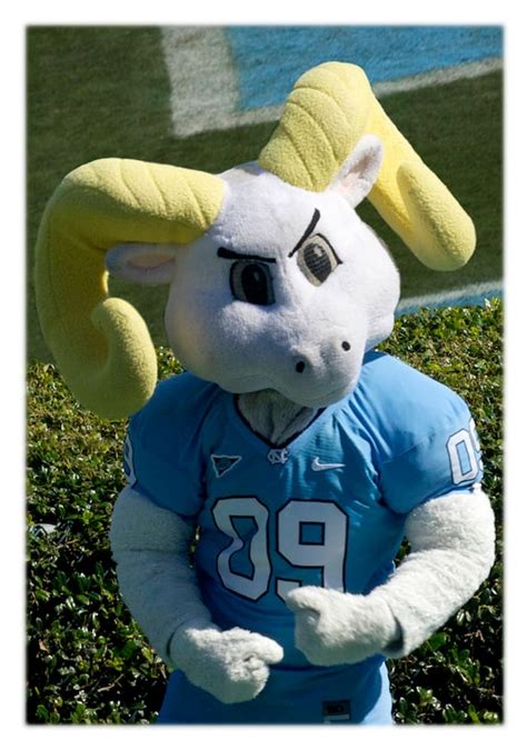 UNC-Chapel Hill Football Rameses North Carolina Photography | Etsy