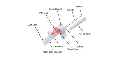 Types of IV Cannula: 8 Different Sizes, Colors, and Uses