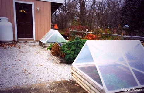 Cold Frame Gardening Tips For Autumn Edibles – Creative Living with Bren Haas