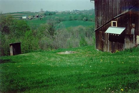 Black Walnut Plantation 1978 | The black walnut plantation b… | Flickr