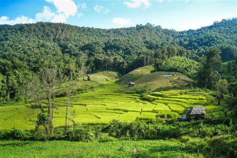 What to Bring Trekking in Chiang Mai