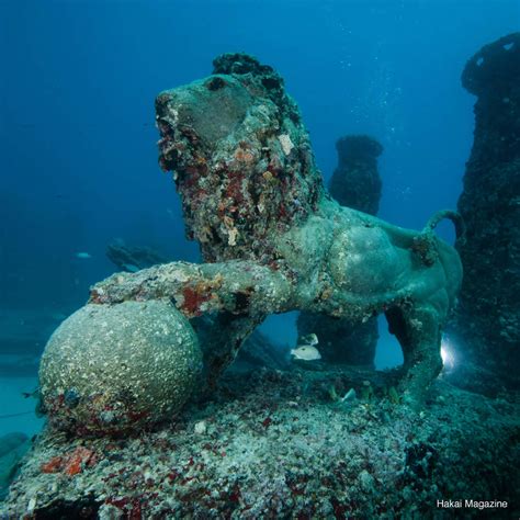 Neptune Memorial Reef in Key Biscayne, FL (With Photos)