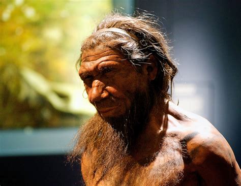 History-changing discovery suggests Homo sapiens were not the first humans in America – BGR