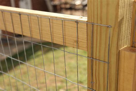 How to build a custom deer fence for your garden – Whitney Anderson Gardening