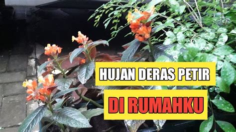 Hujan Deras Petir Di Rumahku. @DAUNPISANG897 - YouTube