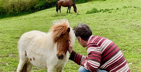 Contact Us - Luxury North Wales Cottages - Self Catering Accommodation