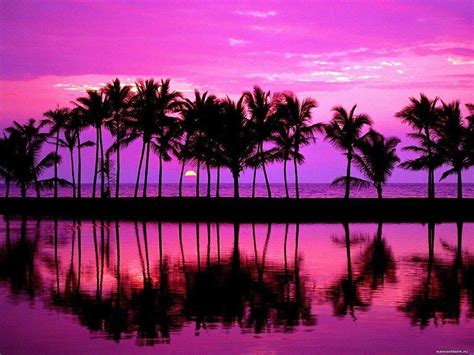 Purple Beach Sunset Wallpapers - Top Free Purple Beach Sunset Backgrounds - WallpaperAccess