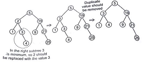 Tree in Design and Analysis of Algorithm Study Notes with Examples