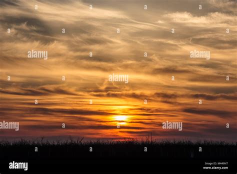 flying birds on dramatic sunset background Stock Photo - Alamy