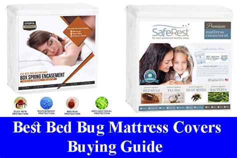 Best Bed Bug Mattress Covers Buying Guide Reviews 2023 | All Time Reviews