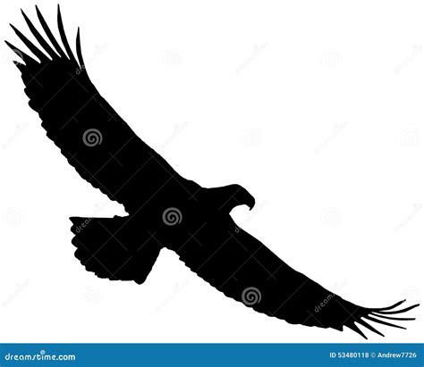 Silhouette Of An Eagle. Stock Illustration - Image: 53480118