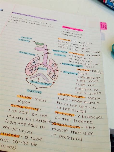 My notes! | Medical school essentials, Medical school studying, Medical school motivation