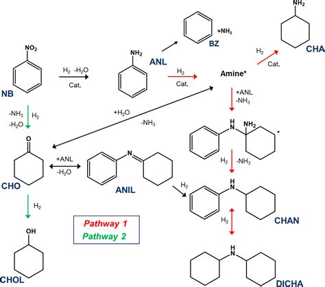 Toward High Selectivity Aniline Synthesis Catalysis at Elevated ...