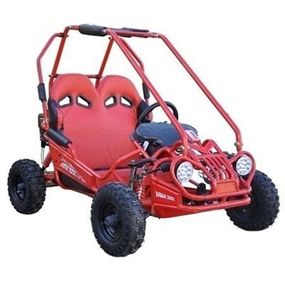 The 5 Best 2 Seater Go Karts of 2019 | Best Go-Kart Reviews