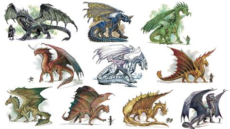 some very pretty dragon like creatures in different poses