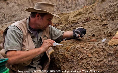 Fossilguy.com: What does a Paleontologist do? Questions for a Paleontologist