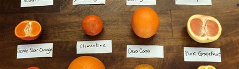 Know These 12 Citrus Varieties And When They Are In Season | Food Republic