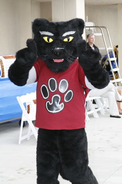 History of Pete the Panther – Orange County Register