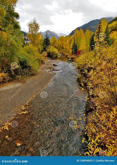 Autumn Gold in the San Juan Mountains Stock Photo - Image of mountains ...