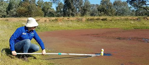 The Benefits of Keeping Healthy Farm Dams – Watershed Landcare Incorporated