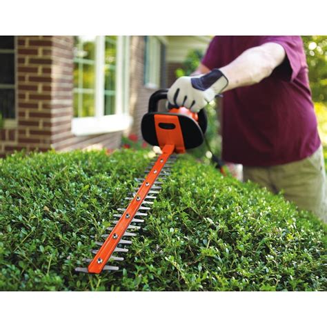 BLACK+DECKER HH2455 3.3-Amp HedgeHog Hedge Trimmer with Rotating Handle And Dual Blade Action ...