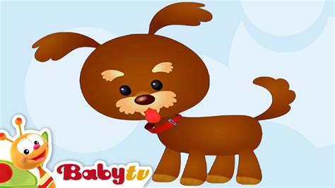 Dog 🐶 Animal Sounds and Names for Kids & Toddlers @BabyTV - YouTube