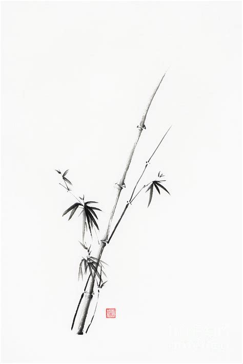 Zen bamboo illustration Minimalist Japanese sumi-e black ink pai ...